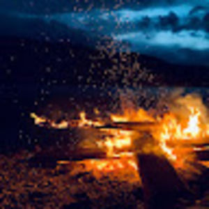 Meet your Posher, Elsa